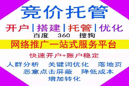 百度SEM广告策略在电商行业的成功案例